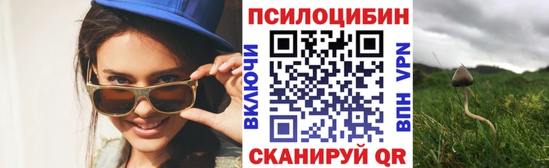 Галлюциногенные грибы Psilocybine cubensis  сколько стоит  omg маркетплейс  Бор 